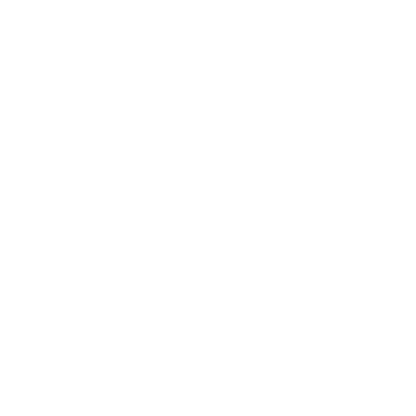 Logo Le 13 blanc